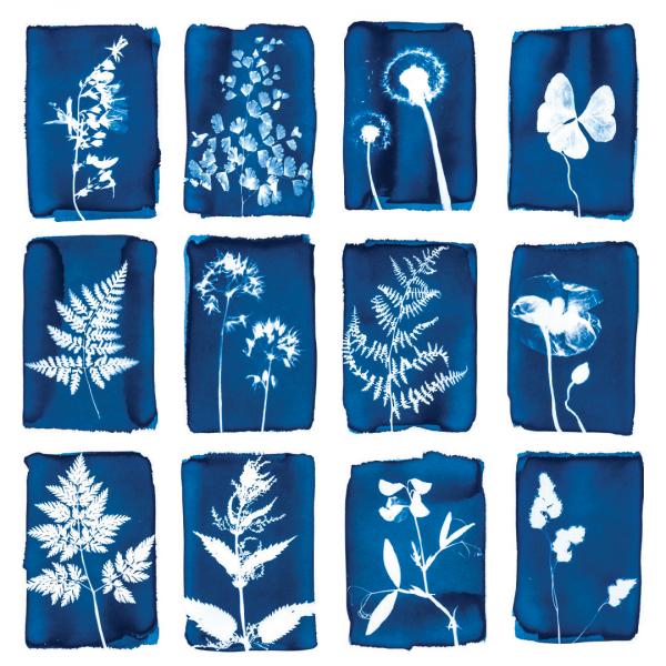 Image for event: Teens: Take &amp; Make: Cyanotypes prints