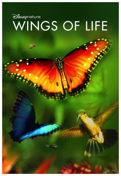 Image for event: Film: &quot;Wings of Life&quot; 