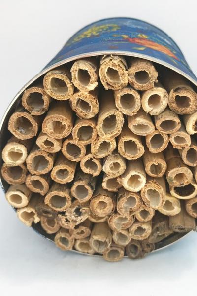 Image for event: Workshop for Adults and Teens: Make a Bee Hotel