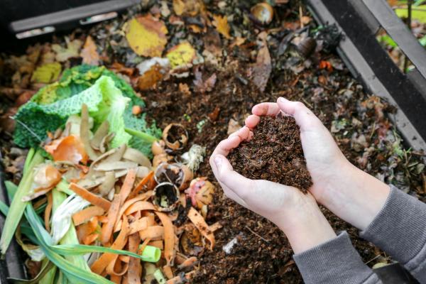 Image for event: Composting Workshop 